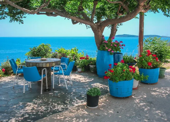 Apartment Apanemo Seaside - Pitsa Batsi (Andros)