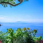 Apanemo Seaside - Pitsa * Batsi (Andros)